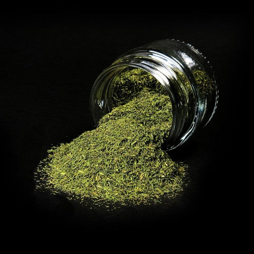 Aneth - 15g/pot