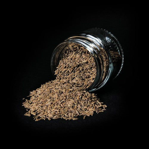 Carvi noir - 45g/pot