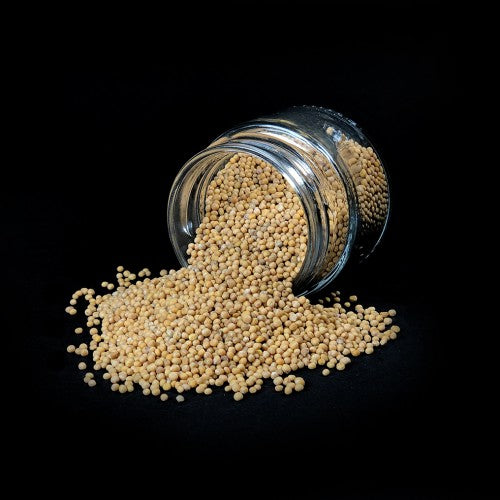 Moutarde jaune - 60g/pot